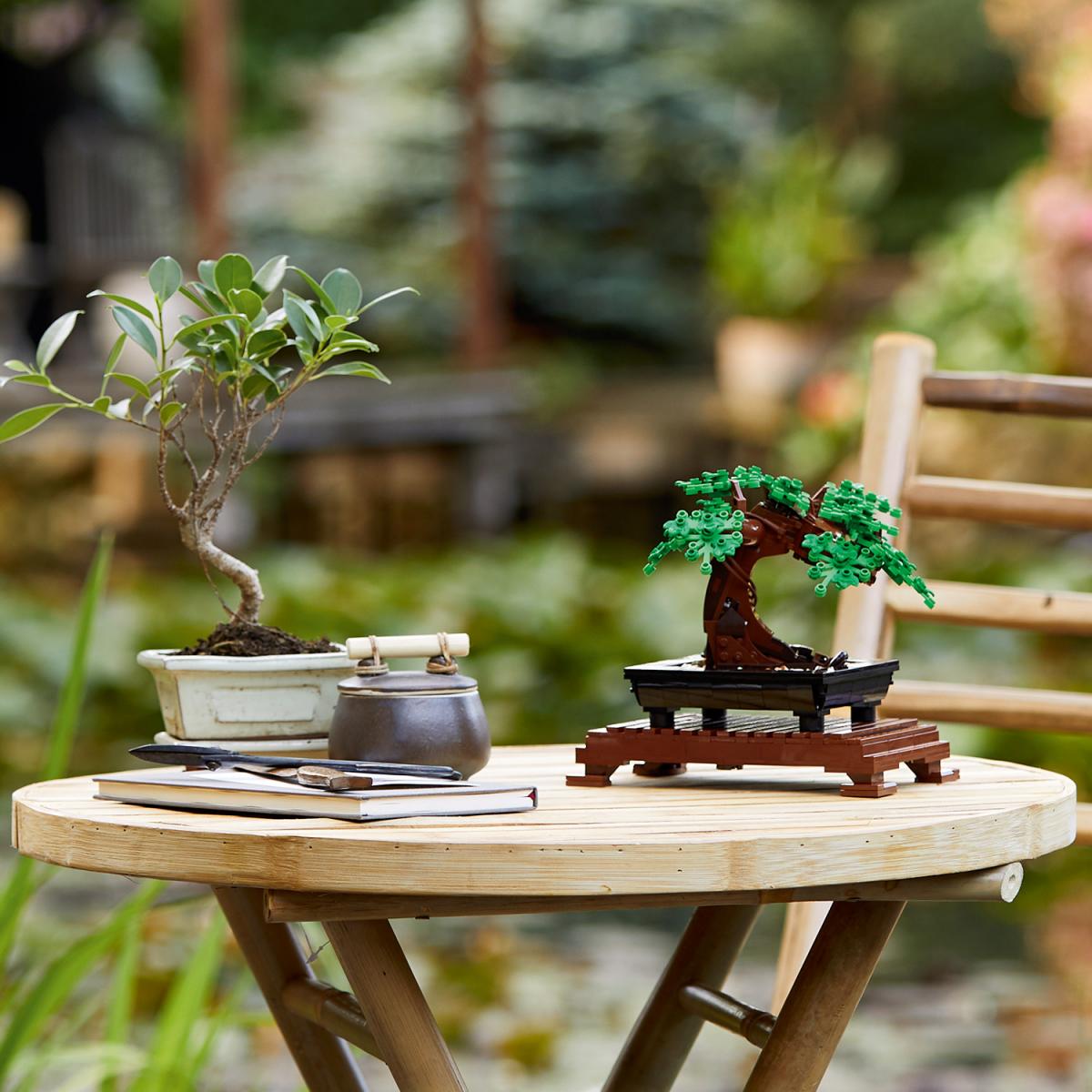 LEGO Botanical un bonsai vero e un bonsai lego