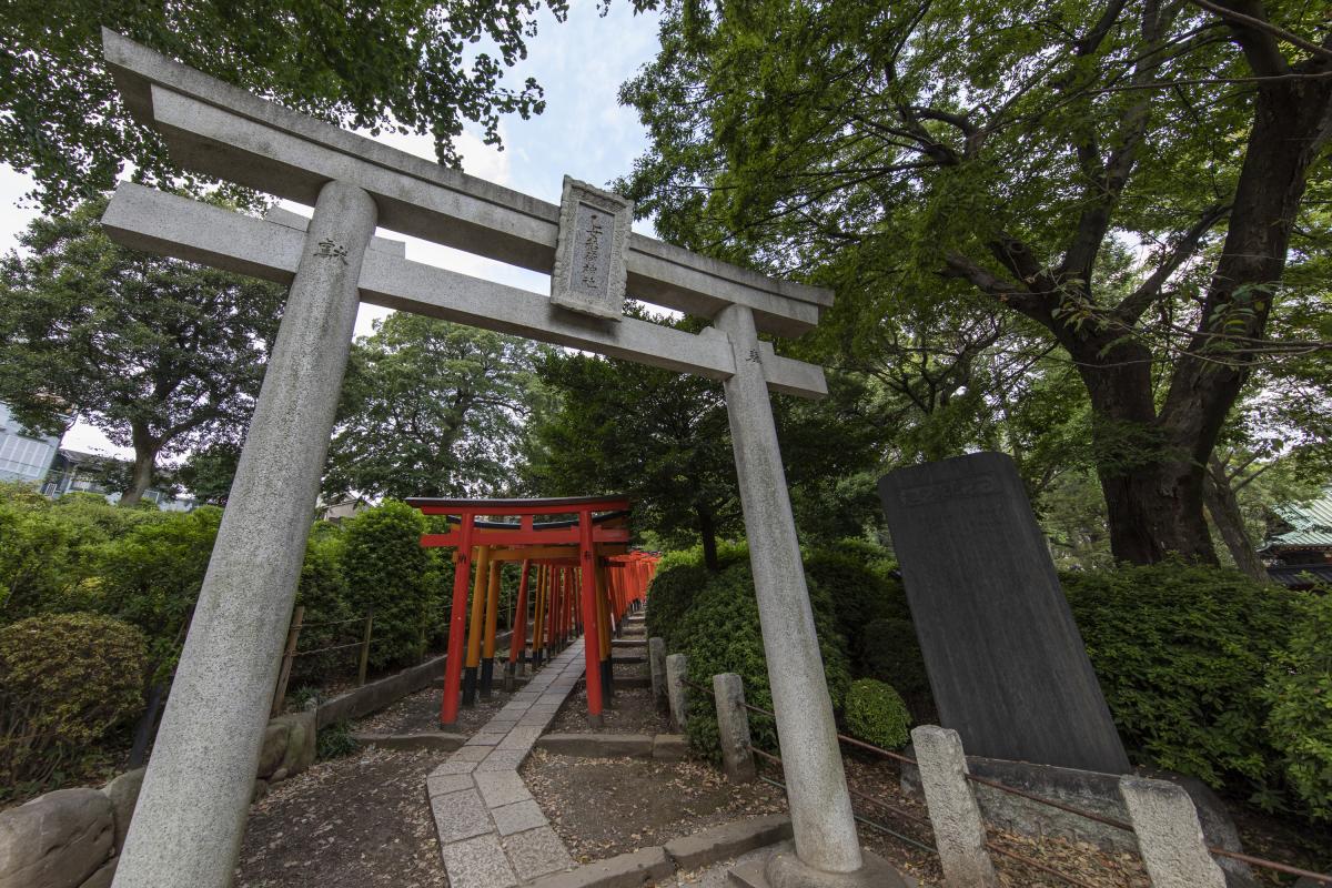 Tokyo: immergersi nella pace dei suoi templi Nezu Jinja 