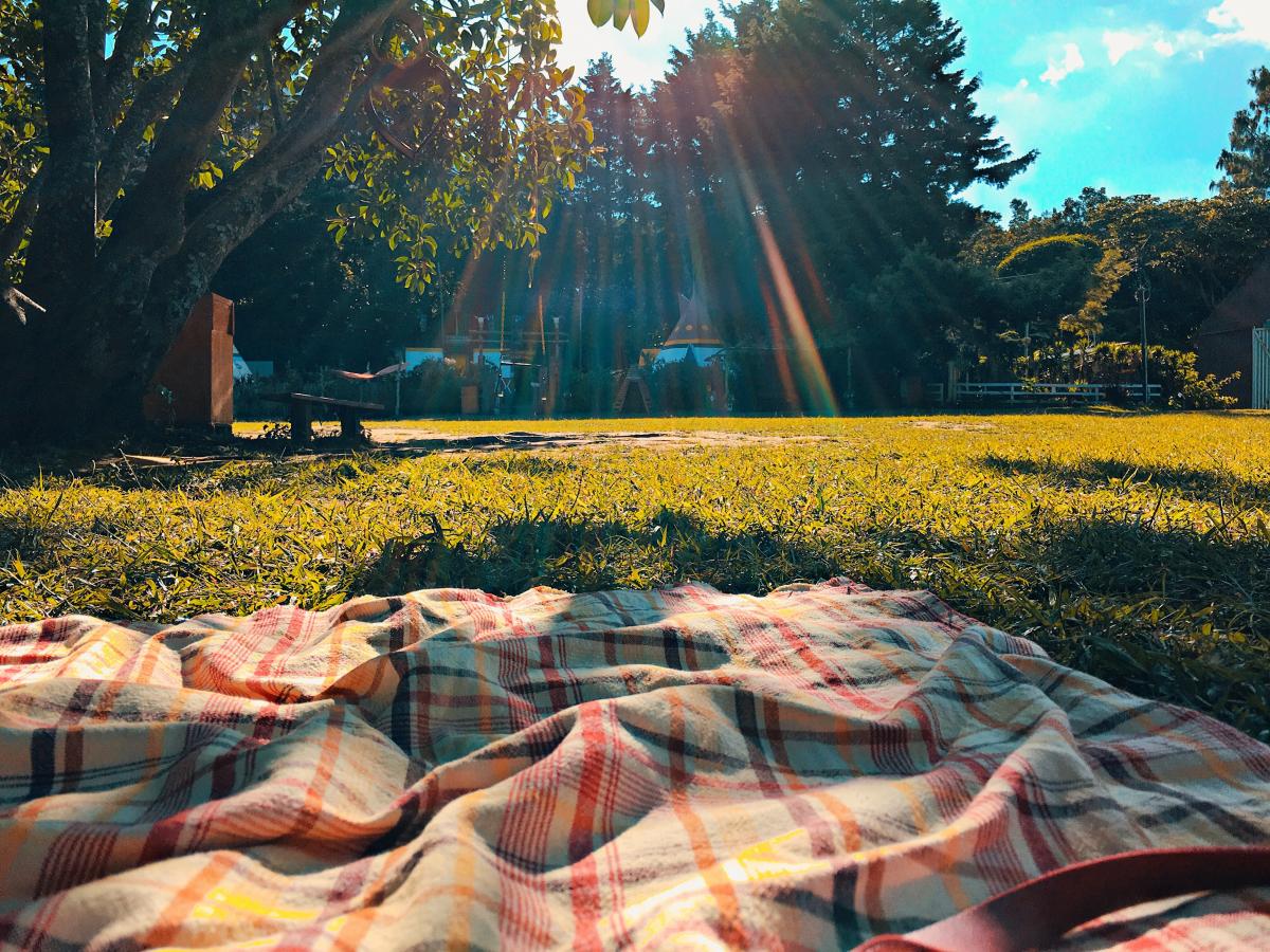 Picnic Chic un tela da picnic in un parco