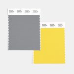 SWCD-TCX-color-of-the-year-2021-ultimate-gray-illuminating