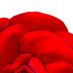 Premio Cramum_cover