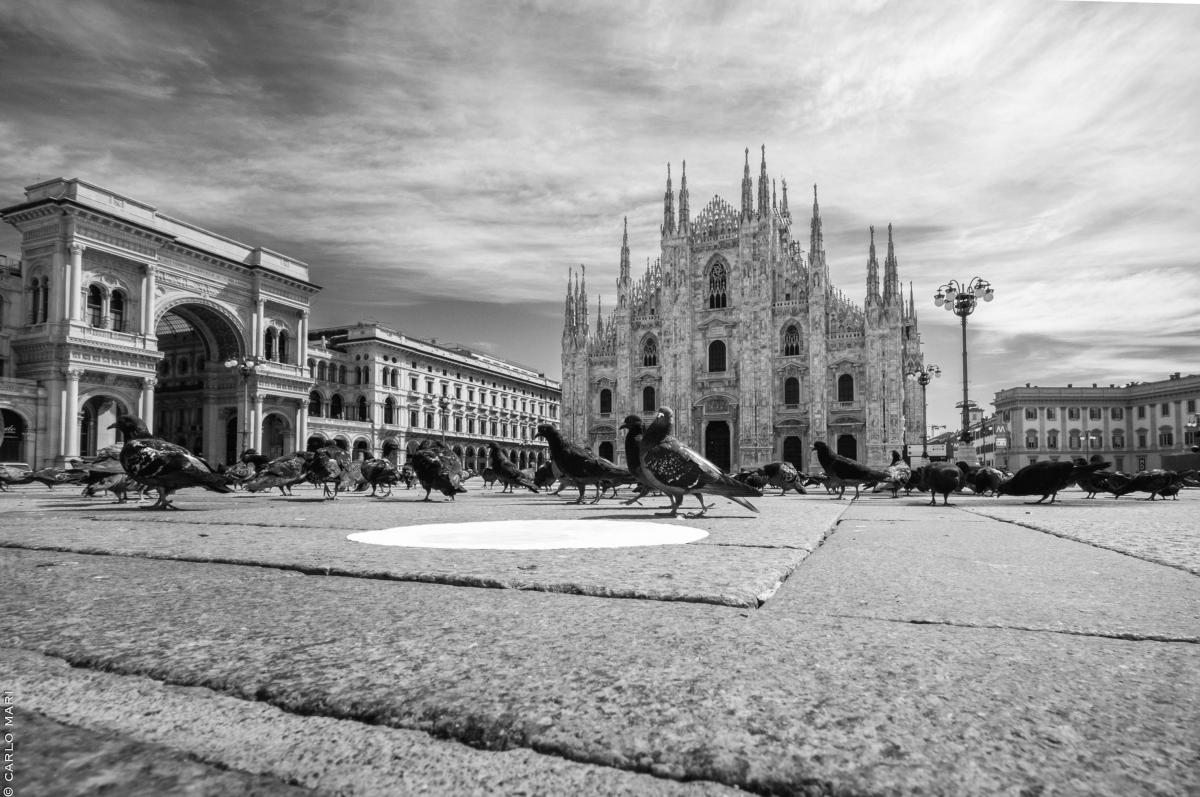 Carlo Mari. Io Milano il Duomo