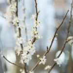 SCA_8386_EXPOSURE