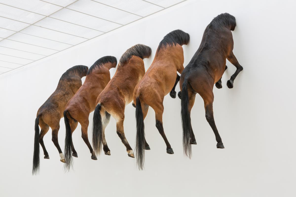 Maurizio Cattelan, 3 editions + 2AP of Untitled 2007, Exhibition view, Kaputt, Fondation Beyeler 2013, ph Zeno Zotti