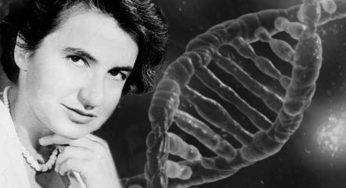 Rosalind Franklin: una luce nella scienza e il buio dell’anonimato, icona femminista
