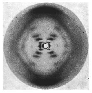 Rosalind Franklin