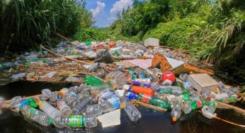 Dal fiume Sarno nasce Acqua Sarnella: l’acqua che il tuo corpo muore