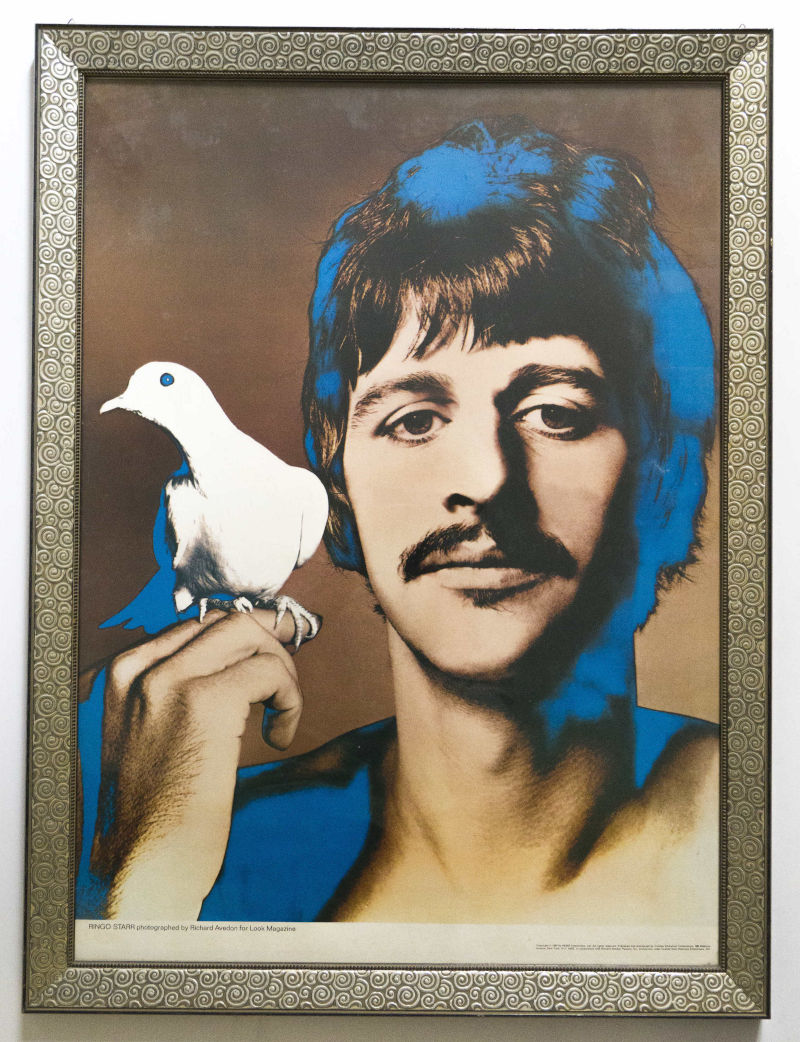Ritratto di Ringo Starr dei Beatles di Richard Avedon