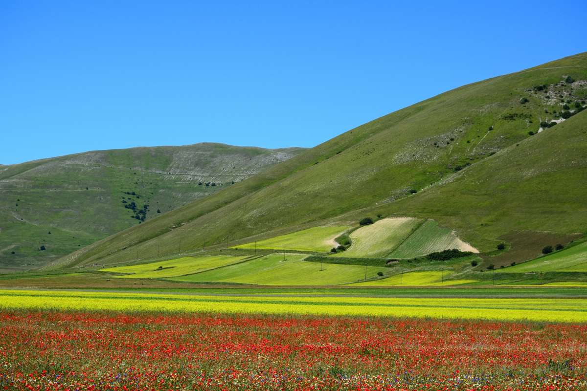 Cucina umbra Foto orizzontale della colorata pianura di Castelluccio in Umbria dove nascono alcuni piatti della cucina umbra