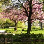 Orto Botanico di Città Studi di Milano