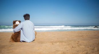 Cani e vacanze, il vademecum per un’estate “pet-relax” senza imprevisti e sicura