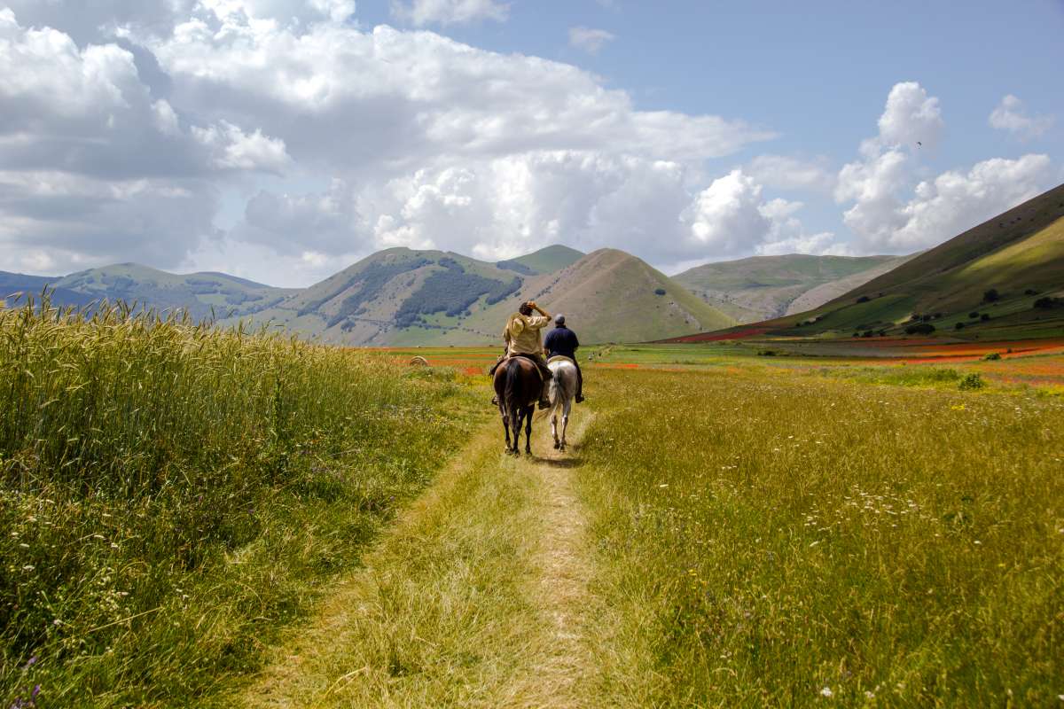 Attività da fare in Umbria: passeggiata in cavallo a Castelluccio di Norcia