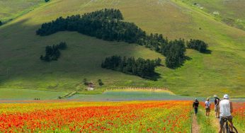 Cosa vedere in Umbria: le 7 mete imperdibili del cuore verde d’Italia