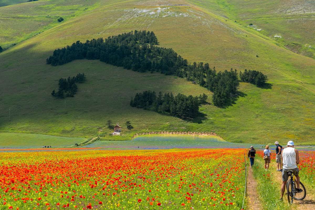 Attività da fare in Umbria: passeggiata a Castelluccio di Norcia