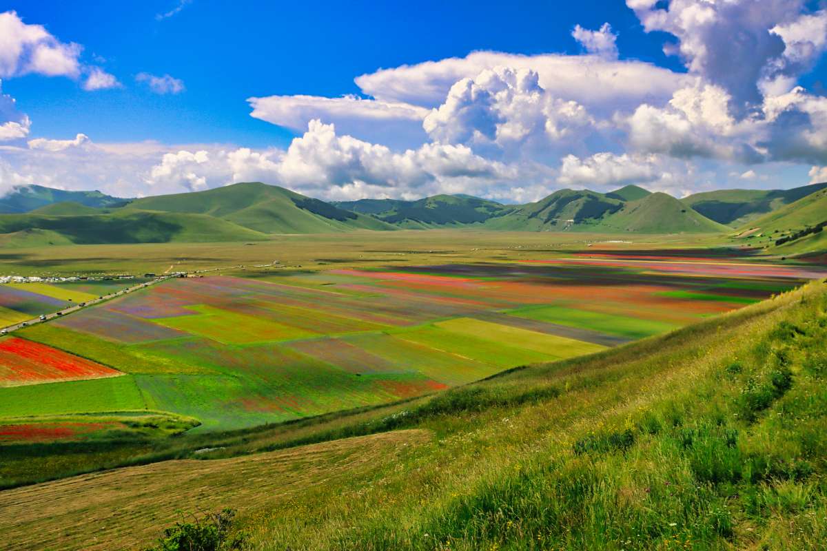 Umbria on the road: vista dall'alto della colorata fioritura di Castelluccio