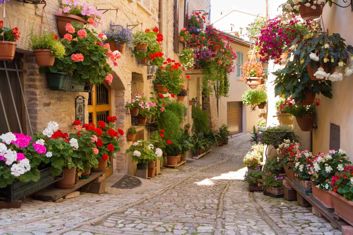 Vicolo con i fiori tipico di Spello in Umbria