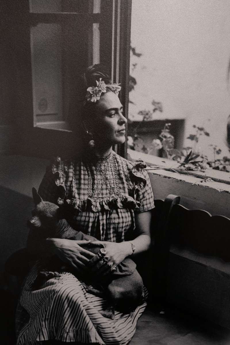 Frida Kahlo Frida con cane