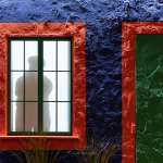 Proiezione murale della mostra