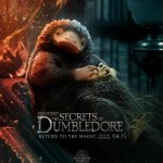 Animali_Fantastici10_740