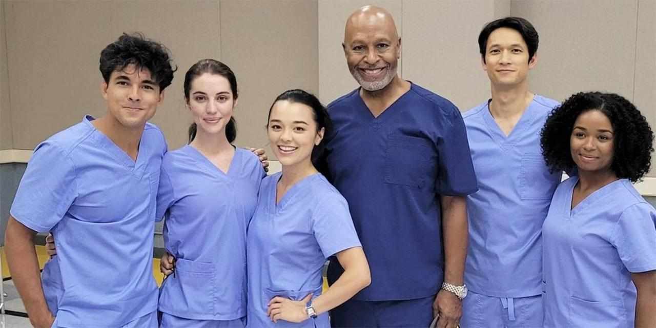 Grey's Anatomy 19