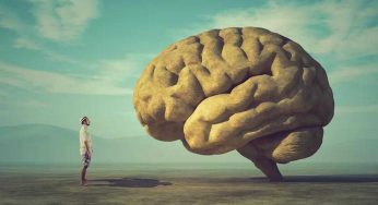 Quanto è valido il tuo intelletto? Soltanto l’85% di chi ha provato questo test lo risolve