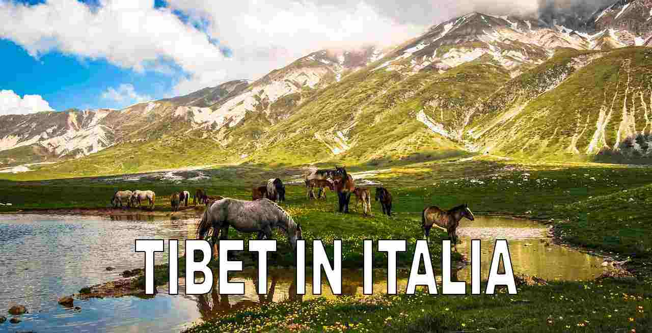 Tibet in Italia