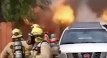 Casa in fiamme, i pompieri restano pietrificati quando lo vedono | È impossibile da credere