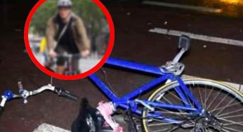 Trascorre 8 mesi in bici, il viaggio finisce in tragedia | Non doveva fermarsi perché…