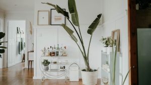 casa decorata - Fortementein